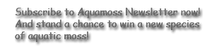Subscribe to Aquamoss Newsletter now!